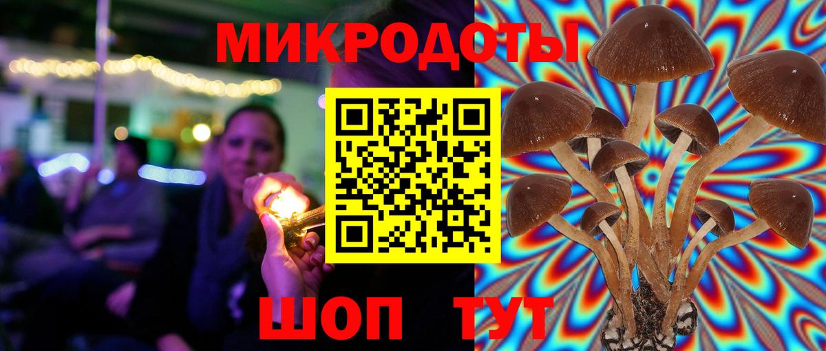 Галлюциногенные грибы мухоморы  Вход с VPN  как найти   Чапаевск 