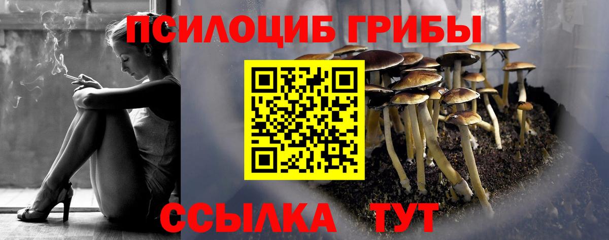 Псилоцибиновые грибы мухоморы Чапаевск